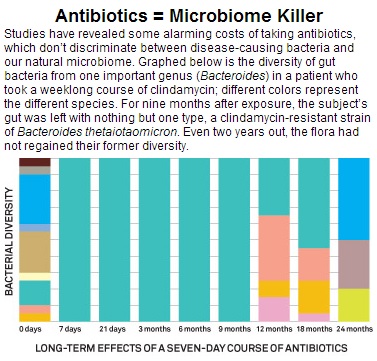 Antibiotics-Microbiome-Wired-Resistant-Starch.jpg